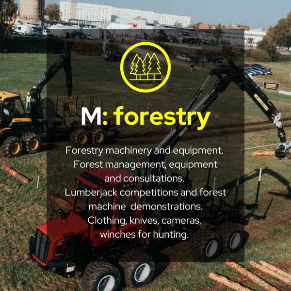 Exhibition theme - FORESTRY